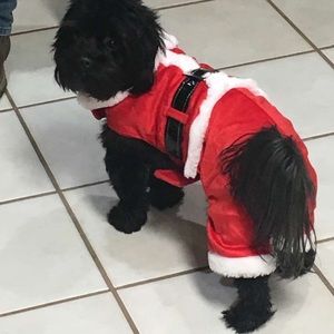 Meet your Posher, Dalton